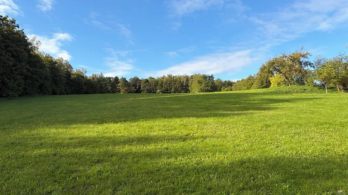 Prodej louky 3927 m²